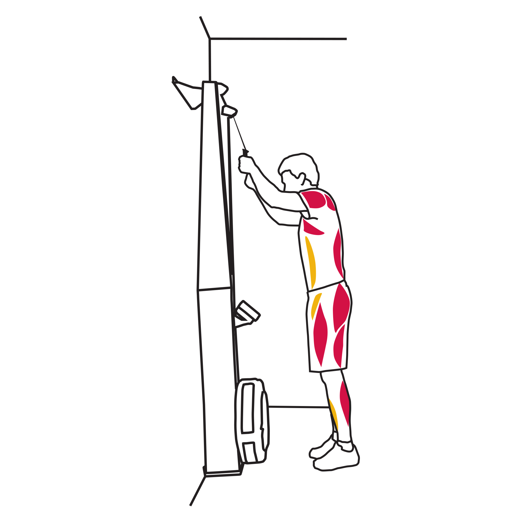 SkiErg Technique: The Recovery